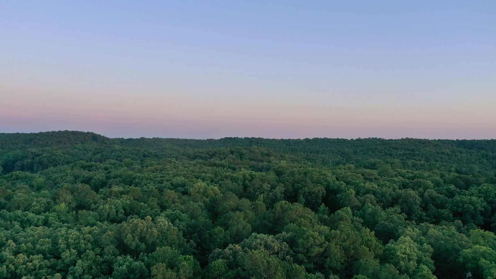 Aerial forest at dusk, raw land often misdescribed in online title reports