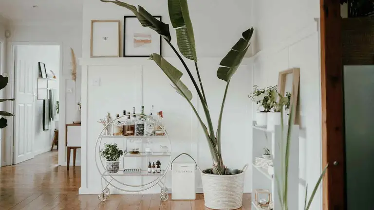 Bright home interior at stake when earnest money deposits go into escrow