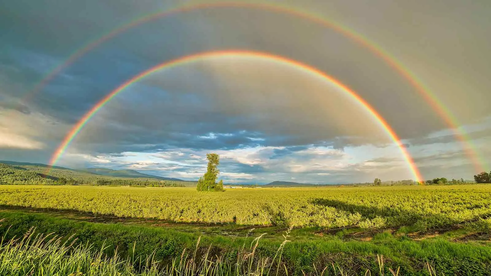 Double rainbow over open farmland parcels identified by address lookup