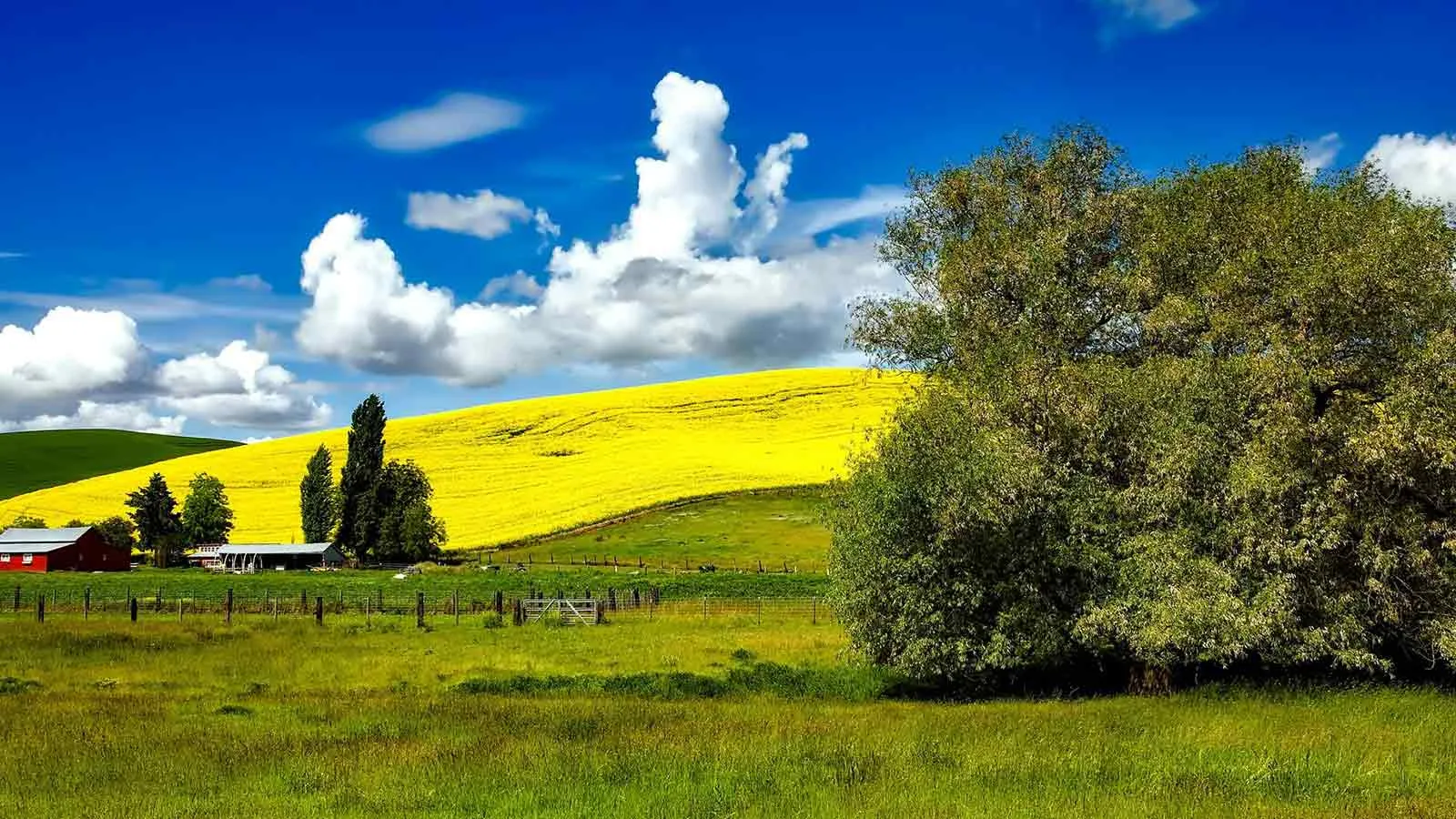 Farmland under a wide sky, acreage verified through a property title search