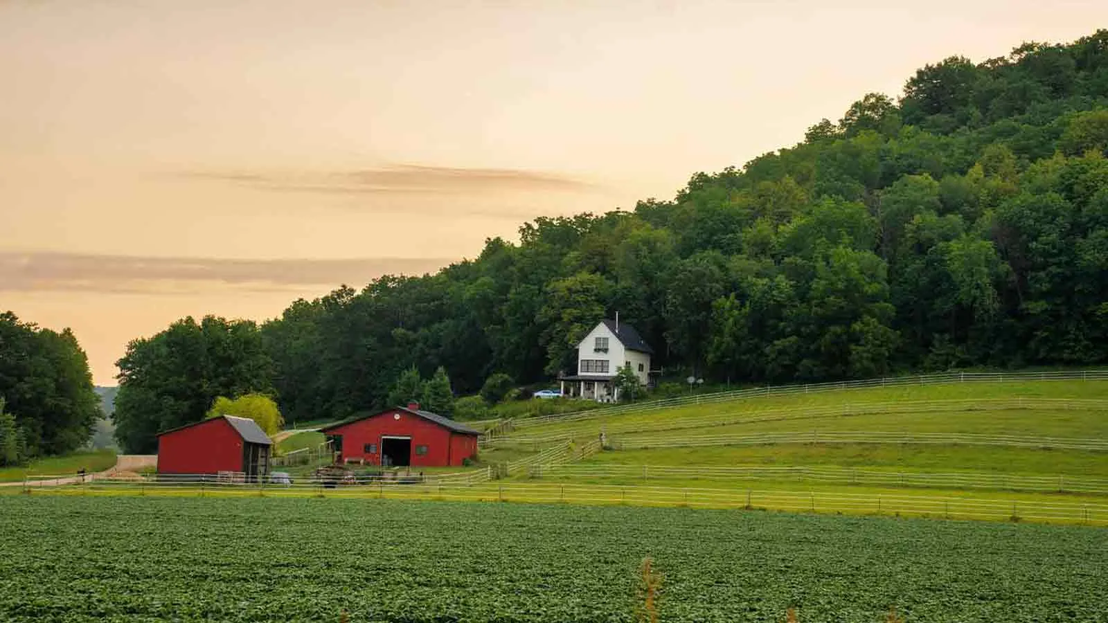 Countryside farmhouse, the family land title fraud schemes target